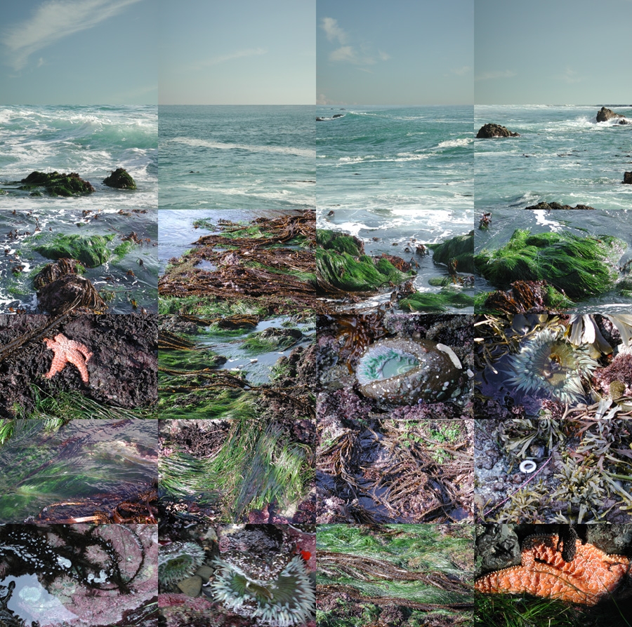 oceanside collage